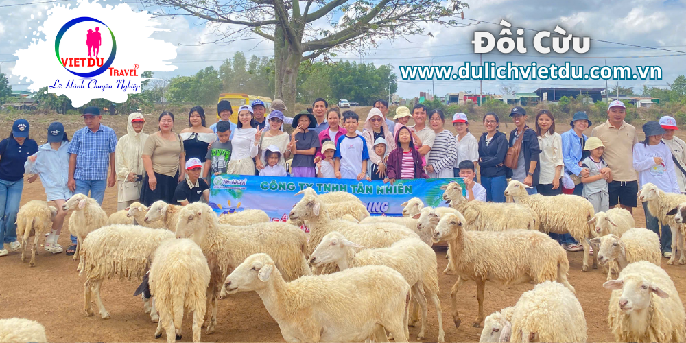 Tour Long Hải 2 ngày 1 đêm