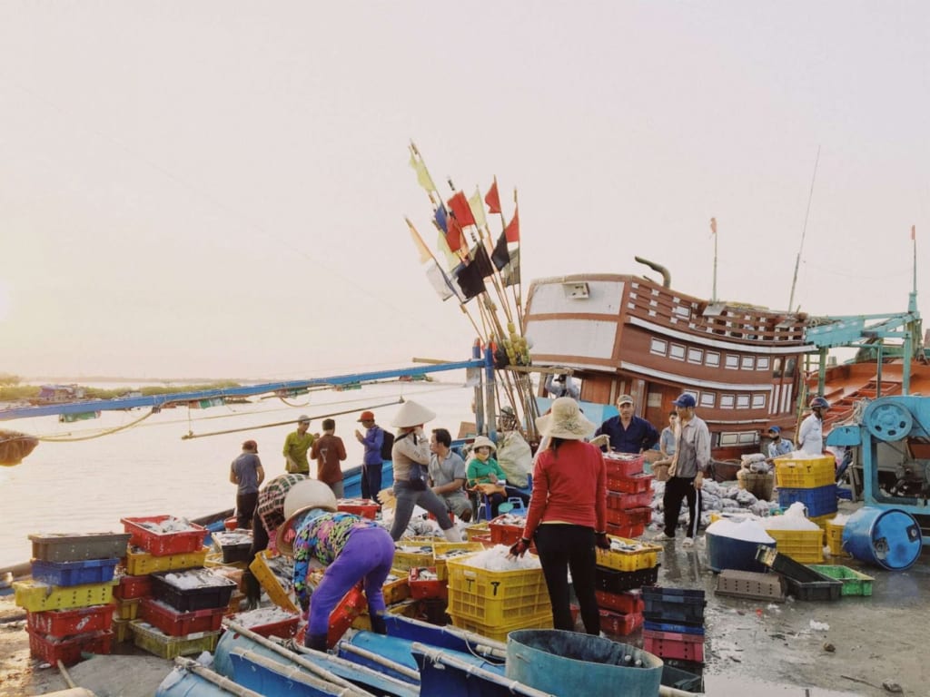 Hình ảnh người dân tấp nập kéo hải sản về làng chài Bình Châu