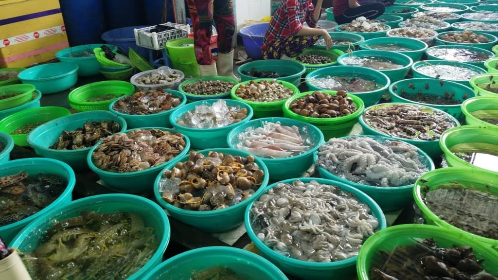 Hải sản Bé Hướng - vựa hải sản ở Bình Châu